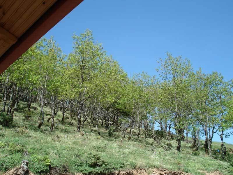 Guesthouse Irida Belokomiti Экстерьер фото